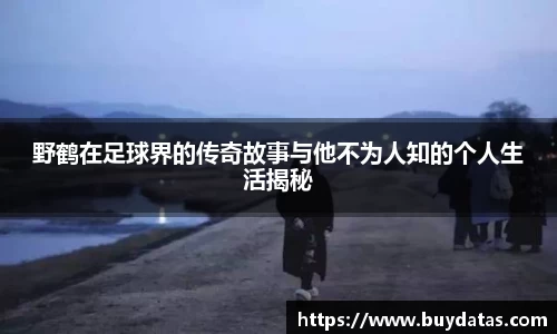 野鹤在足球界的传奇故事与他不为人知的个人生活揭秘