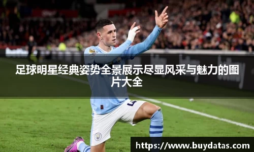 足球明星经典姿势全景展示尽显风采与魅力的图片大全